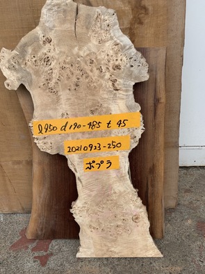 ポプラ一枚板<br />W950 D190-485 T45<br />20210923-250